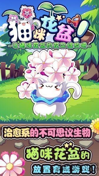 猫咪花盆无限金币版下载,猫咪花盆,猫咪游戏,养成游戏