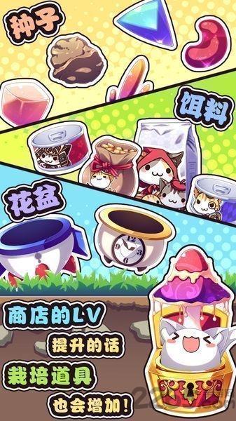 猫咪花盆无限金币版下载,猫咪花盆,猫咪游戏,养成游戏