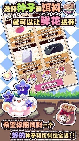 猫咪花盆无限金币版下载,猫咪花盆,猫咪游戏,养成游戏