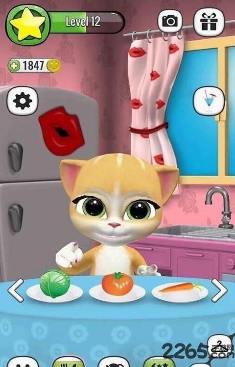 我的艾玛猫游戏下载,我的艾玛猫,宠物游戏